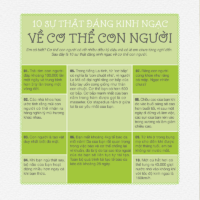 100OL1 - 100 Nhân Vật Trong Kinh Thánh (Tiếng Việt) - Phần 1 - Hình ảnh 7