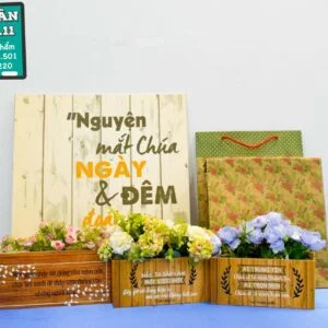 Câu Gốc/ Hộp Hoa Giả Gỗ