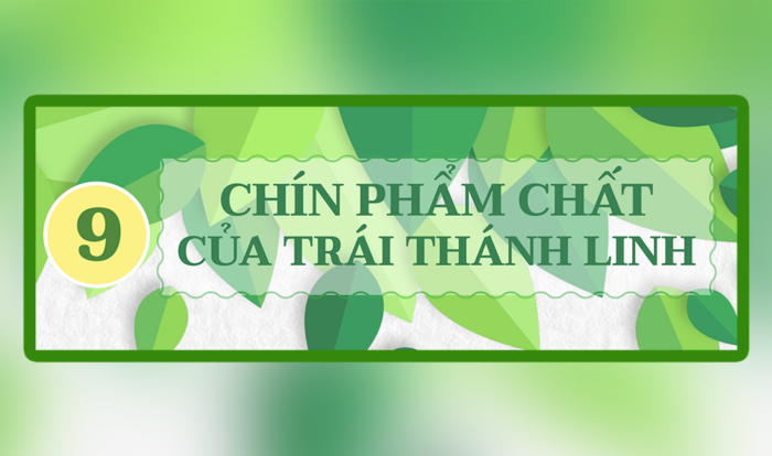 9 phẩm chất thumbnail