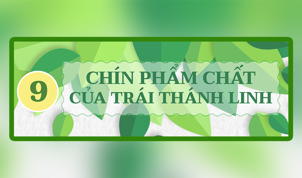 9 phẩm chất thumbnail