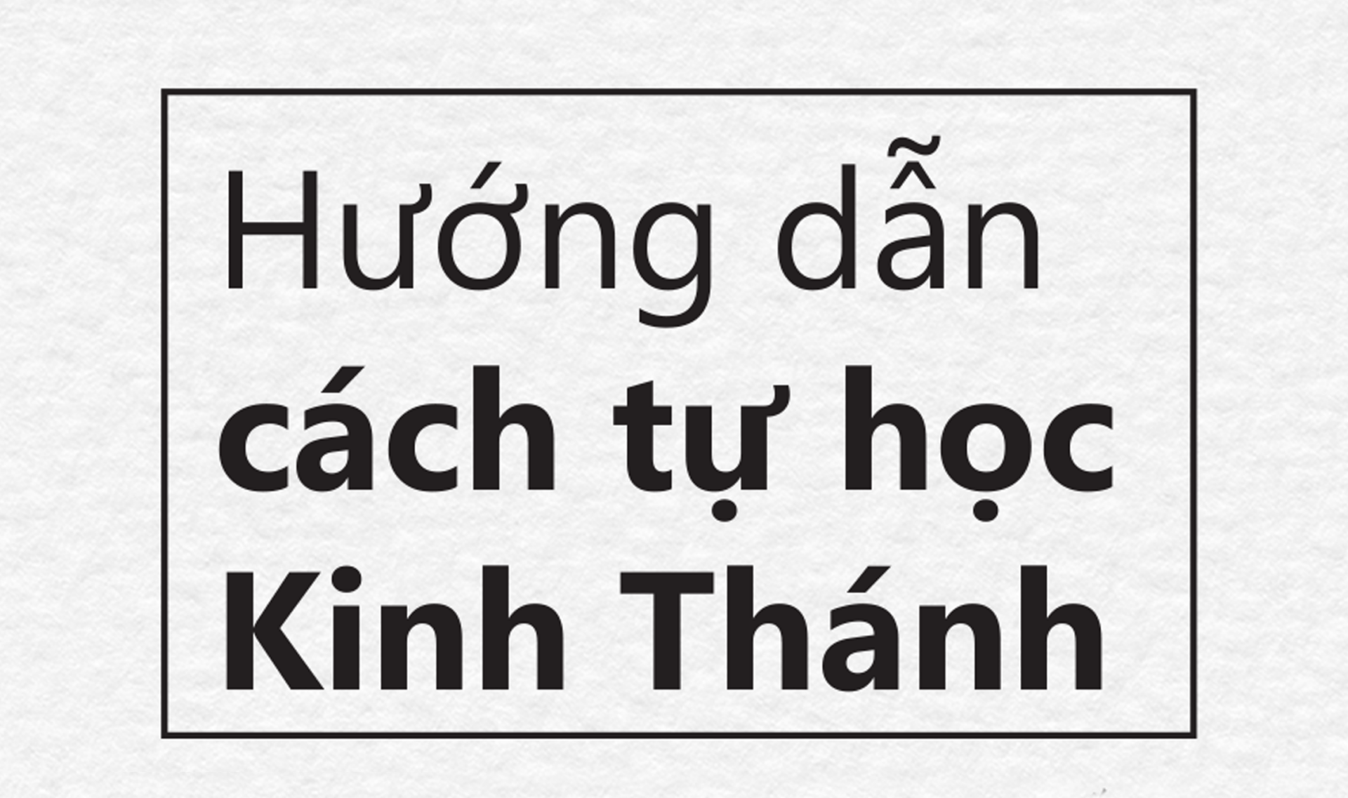 ádhaskdhjkashdjkasd