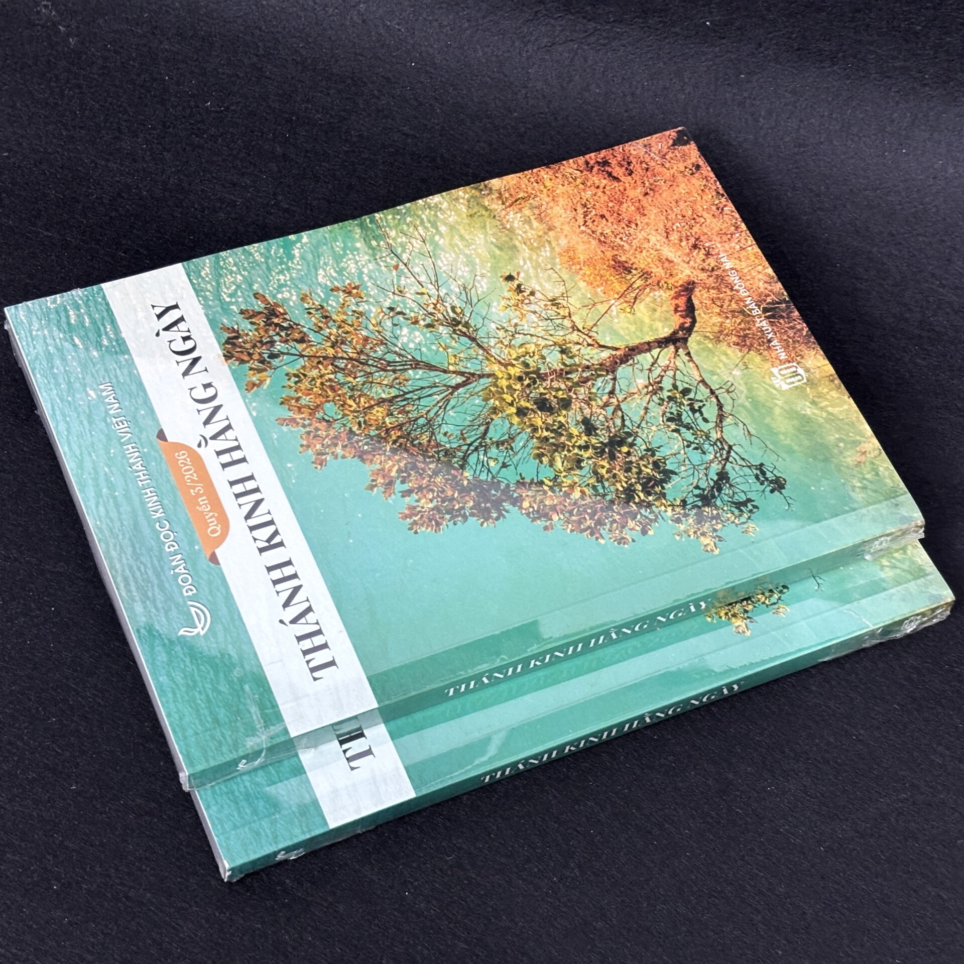 THÁNH KINH HẰNG NGÀY (Quyển 3) - Ảnh 3